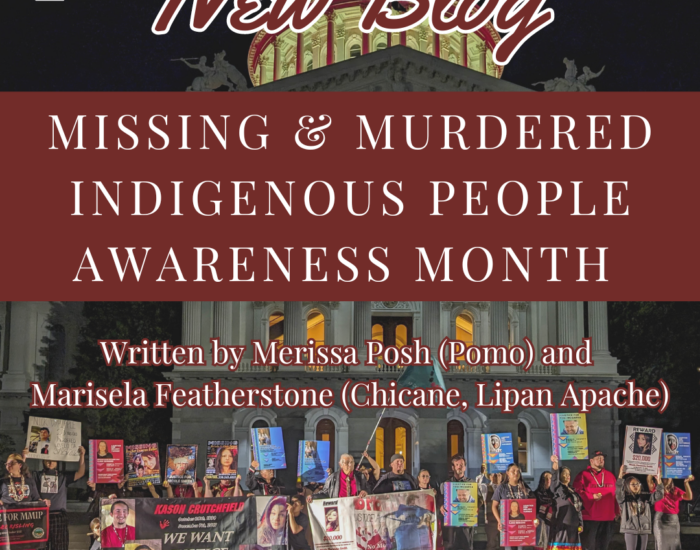 Missing & Murdered Indigenous People Awareness Month (MMIP)